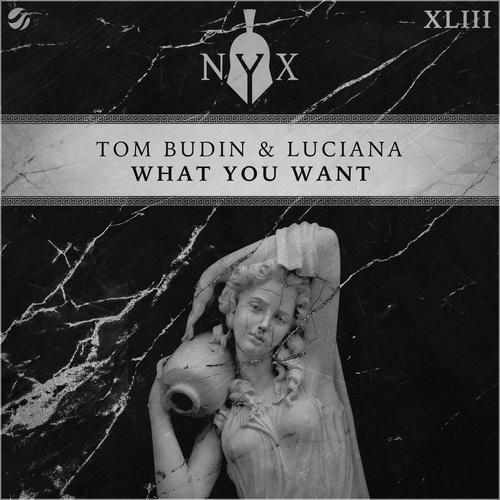 Luciana, Tom Budin - What You Want [NYX043D]